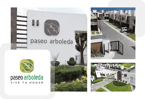 Paseo arboleda