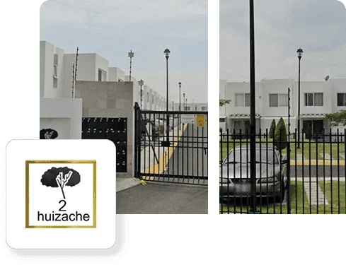 Huizache