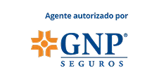 GNP